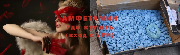гашик Алексеевка